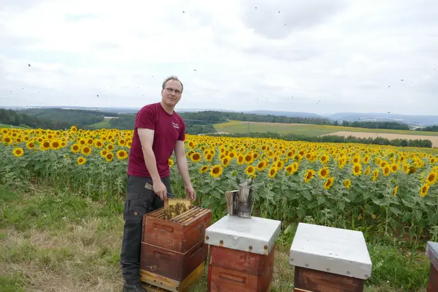 Imkermeister Markus Nürenberg bei einem prüfenden Blick in den Bienenstock. | Foto: Frauke Beck