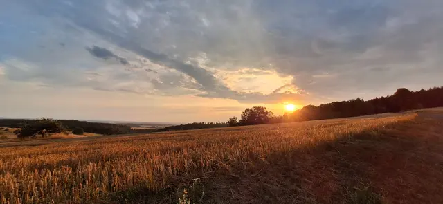 Foto: Kristian Spinnler