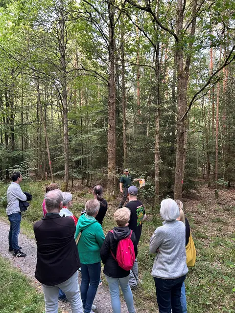 Das Bild zeigt Teilnehmerinnen und Teilnehmer beim Waldspaziergang und einer Erläuterungssituation durch den Förster