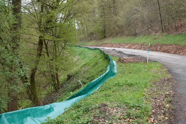 Sogar die heimische Fauna darf sich versöhnt zeigen: Die vorbildlichen Amphibienschutzmaßnahmen zeigen, dass moderner Infrastrukturerhalt und der Respekt vor den verletzlichen Mikrokosmen kein Widerspruch sein müssen.