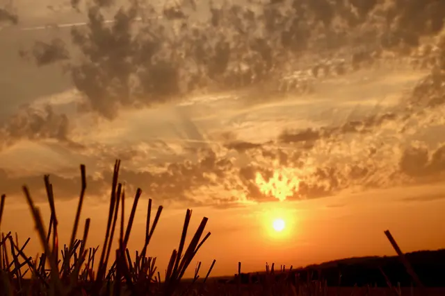 Sonnenaufgang im August im Odenwald. 