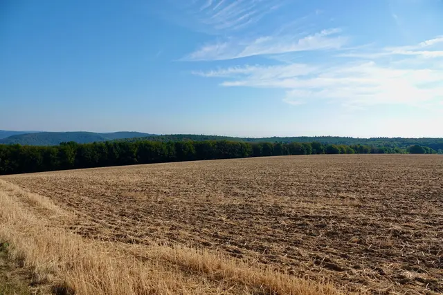 Blick zur Sebaldsrihe zwischen Wenschdorf und dem Maintal unweit vom Funkturm.