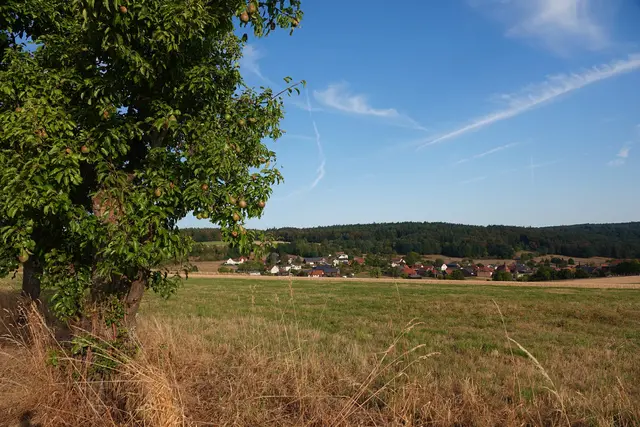 Schippach.
