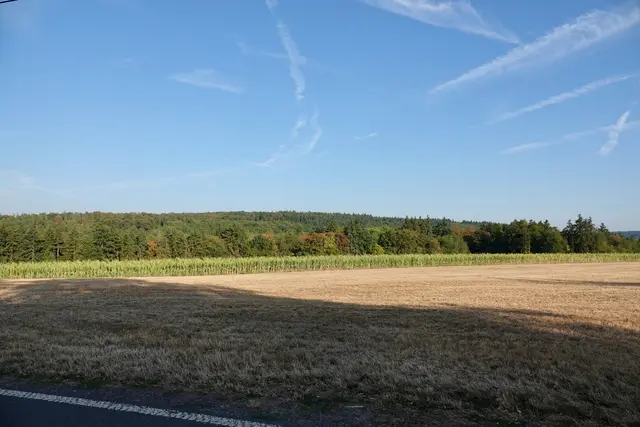 Blick zur Sebaldsruhe  zwischen Berndiel und Schippach.