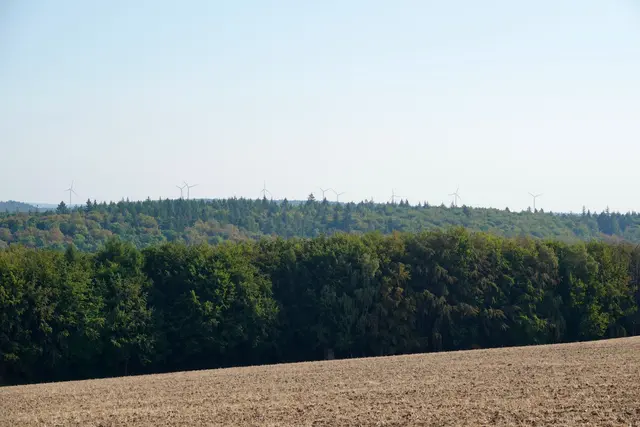 Blick auf der Höhe zwischen Berndiel und Schippach zur Sebaldsruhe. 
