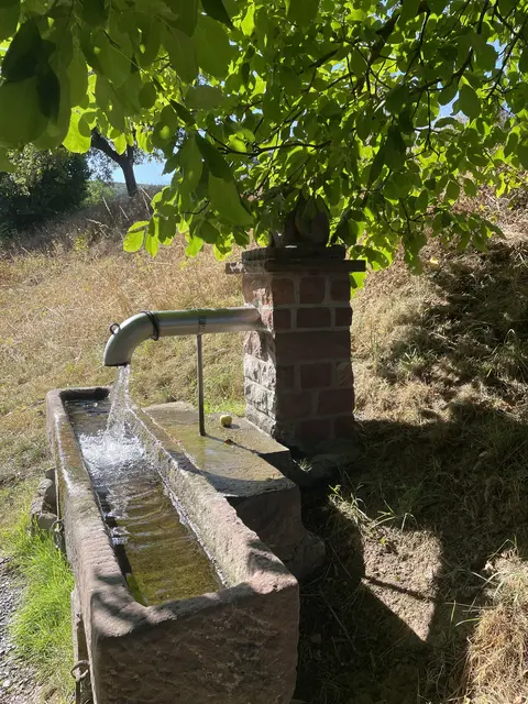Ein seltener, sprudelnder Brunnen.