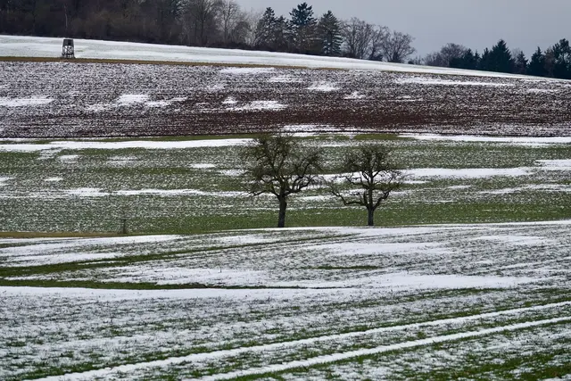 Bei Wenschdorf.