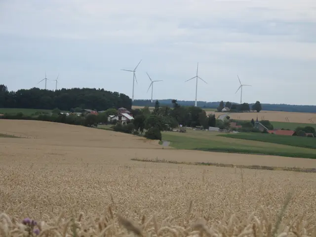 Die erneute Auslegung beziehungsweise Zugänglichmachung der Antragsunterlagen erfolgt von Mittwoch, den 12. August, bis einschließlich Freitag, den 11. September, auf der Internetseite des Landratsamts unter der Rubrik Kreisrecht / Bekanntmachungen im Ordner „Windpark Waidachswald“. | Foto: Landratsamt Neckar-Odenwald-Kreis