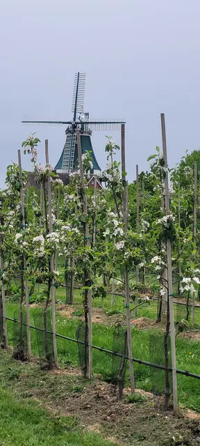 Foto: Bilder aus dem Bestand des Kreisverbands