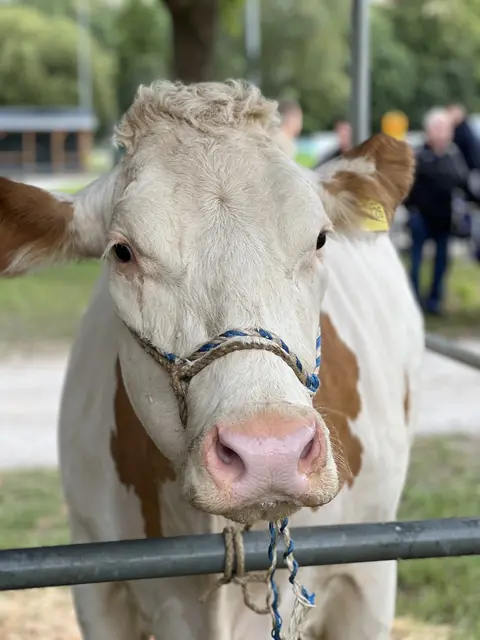 Foto: © Stadt Eberbach
