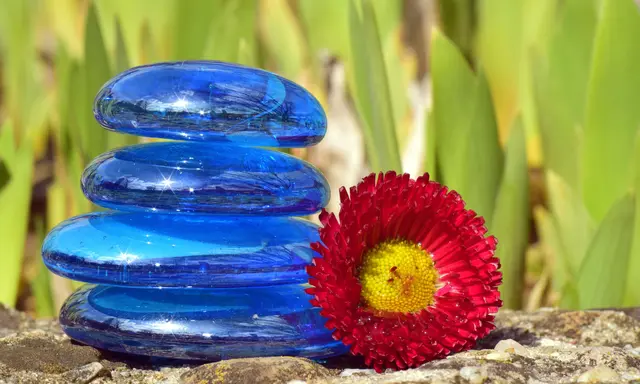 Wellness | Foto: Ulleo-nature