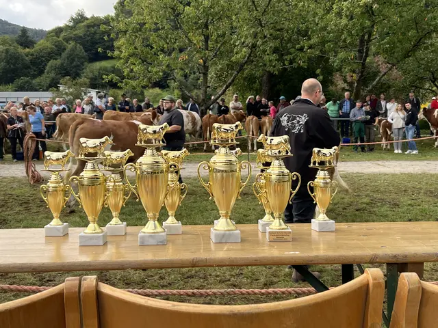Foto: © Stadt Eberbach