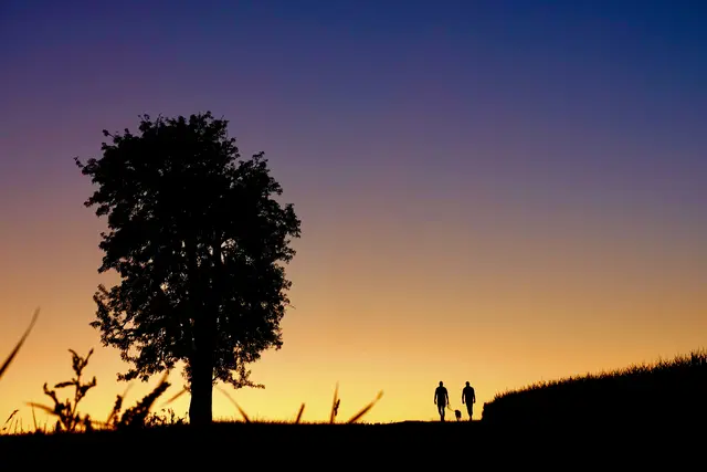 Gratwanderung zwischen Licht und Schatten: Der heutigen Generation kann man aus der Erinnerung vor allem Mut mitgeben – den Mut, Herkunft nicht als Last zu begreifen, sondern als Vorrat. Gesehen zwischen Main, Tauber und Wald. Foto Roland Schönmüller