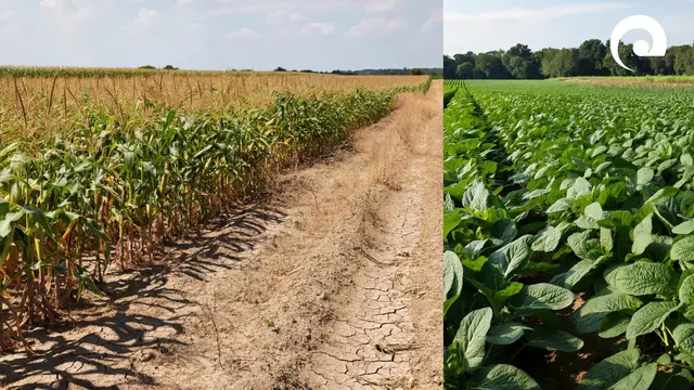 Symbolbild: Klimaschutz ist eine Gemeinschaftsaufgabe – und beginnt vor Ort.  | Foto: Landratsamt Neckar-Odenwald-Kreis