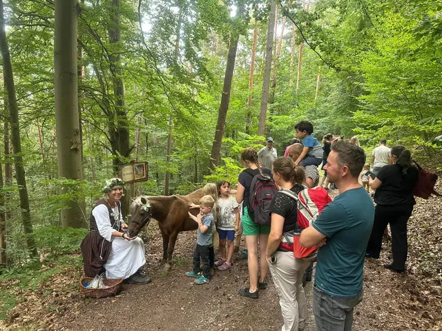 Ob wohl auch diesmal ein echtes Einhorn durch den Wald wandert? | Foto: Wir in Mönchberg e.V.