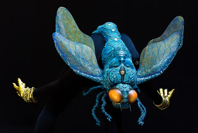Dragonfly | Foto: Bernd Ullrich