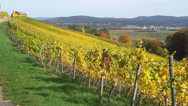 Der Wein wartet... | Foto: Wolfgang Giegerich