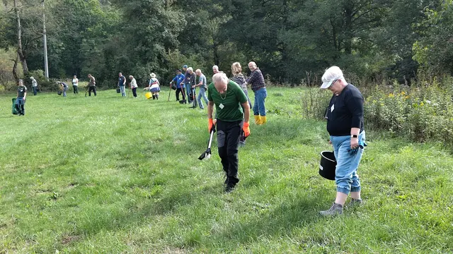 Mit Wohnmobilen aus ganz Deutschland angereist: 23 Ehrenamtliche des Vereins Wohnmobil für Klimaschutz e.V. halfen dem Naturpark Spessart beim Ausstechen des Wasser-Kreuzkrauts. | Foto: Oliver Kaiser