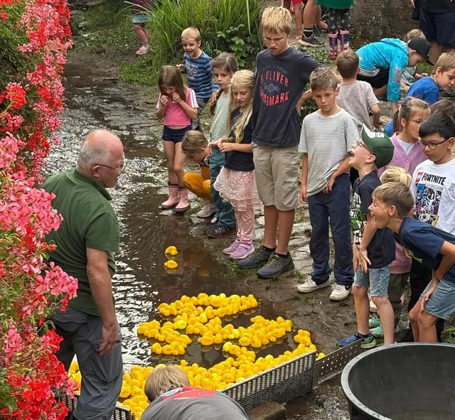 Zielein"schwimmen" beim Entenrennen | Foto: OGV Laudenbah