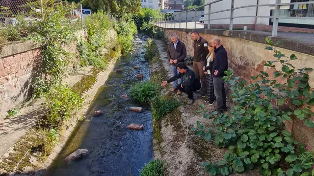 . Vertreterinnen und Vertreter von Stadt Lohr und Naturpark Spessart e.V. informieren sich gemeinsam über die Maßnahmen am Kaibach. | Foto: Emily Neubauer