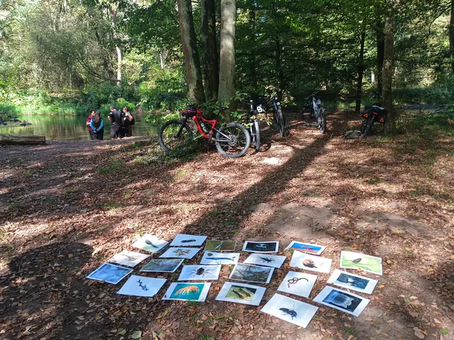 Mit dem Fahrrad durch das untere Sinntal: Die Kulinarische Radtour verband Bewegung, Naturerlebnis und regionale Küche.  | Foto: Susanne Spreng