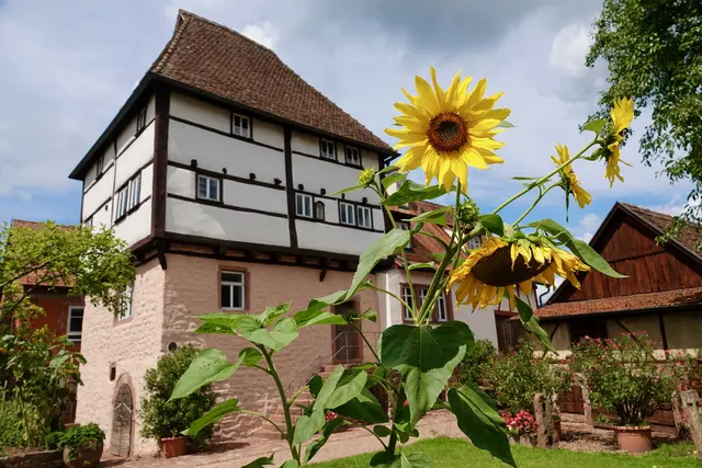 Templerhaus in Amorbach