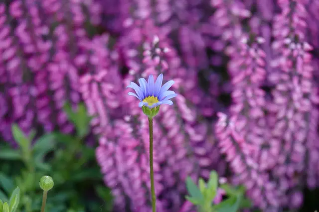 Während die Natur ihre Blätter verliert, sammeln wir Geschichten.