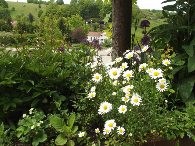 Garten von Mathilde und Edmar Kempf