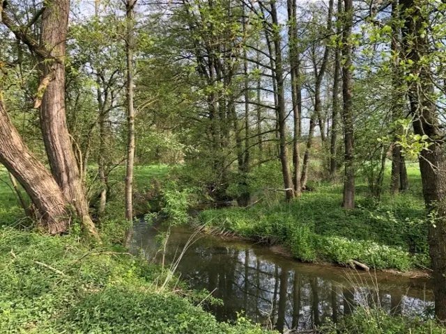 Foto: Heinrich Inkoferer