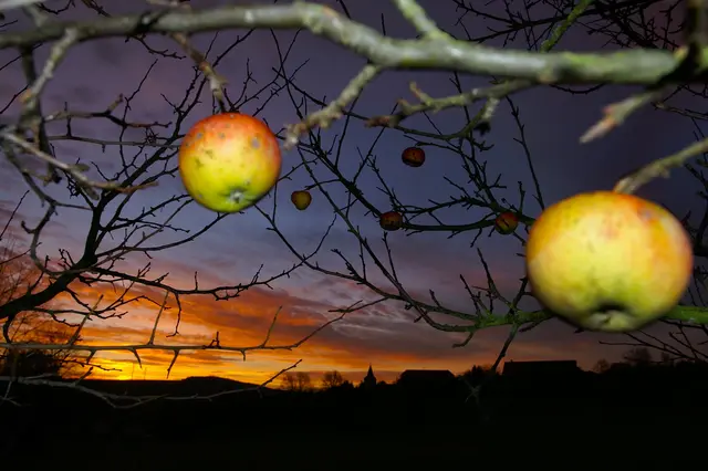 Sonnenaufgang bei Heppdiel. 