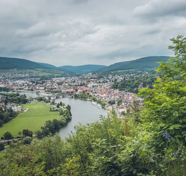 Über den Bismarckweg zur Mildenburg | Foto: Dominik Stapf