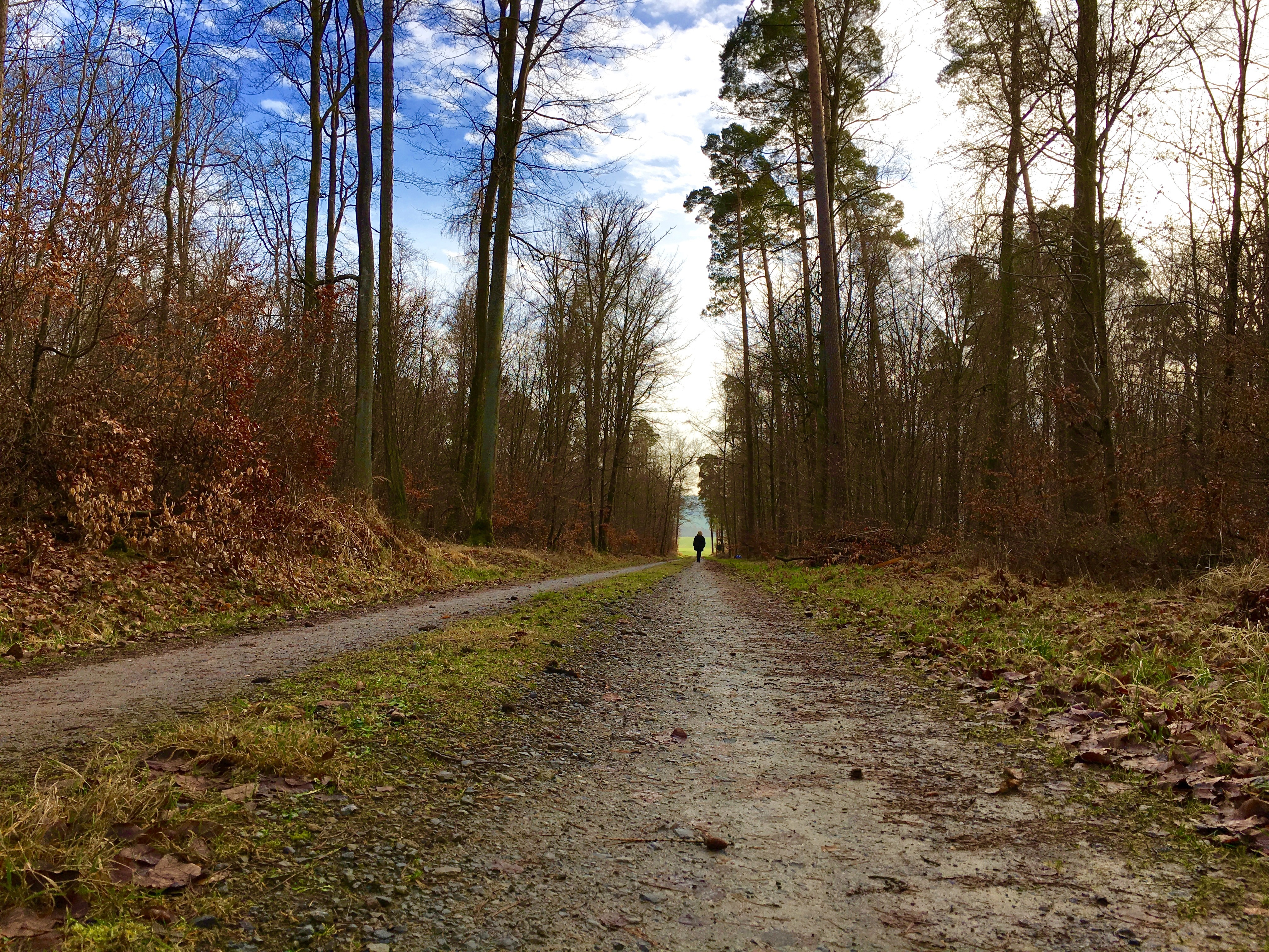 ... bei Eichenbühl-Heppdiel, Landkreis Miltenberg.