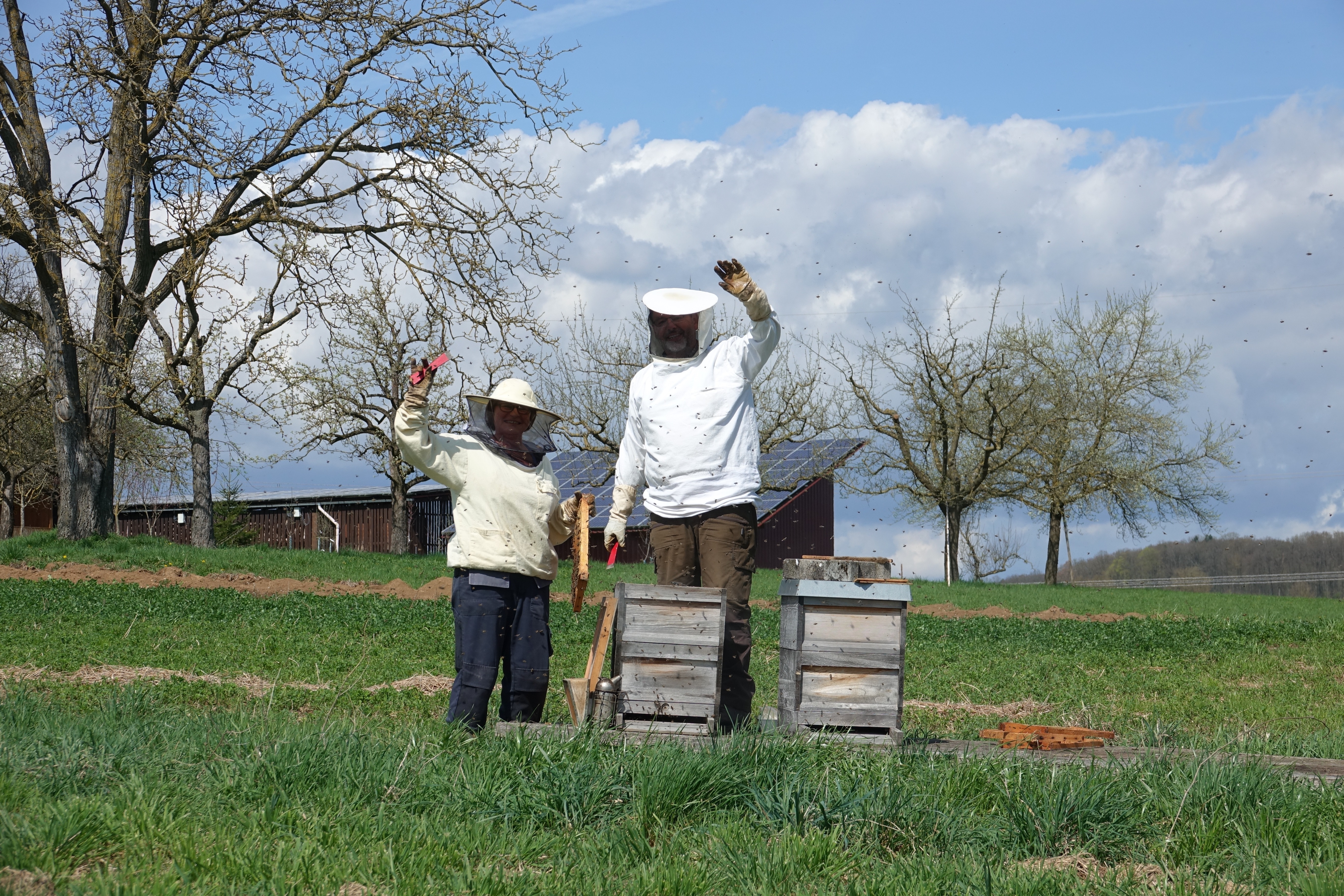 Die Bienen schwärmen - kein Wunder bei der derzeitigen fast schon sommerlichen Witterung. Gesehen am vergangenen Samstagmittag bei Miltenberg. Das Imker-Paar hatte alle Hände voll zu tun. Unser Fotograf blieb ungeschützt und gehandicapt mit einer Bienenstich-Allergie eher auf Distanz.