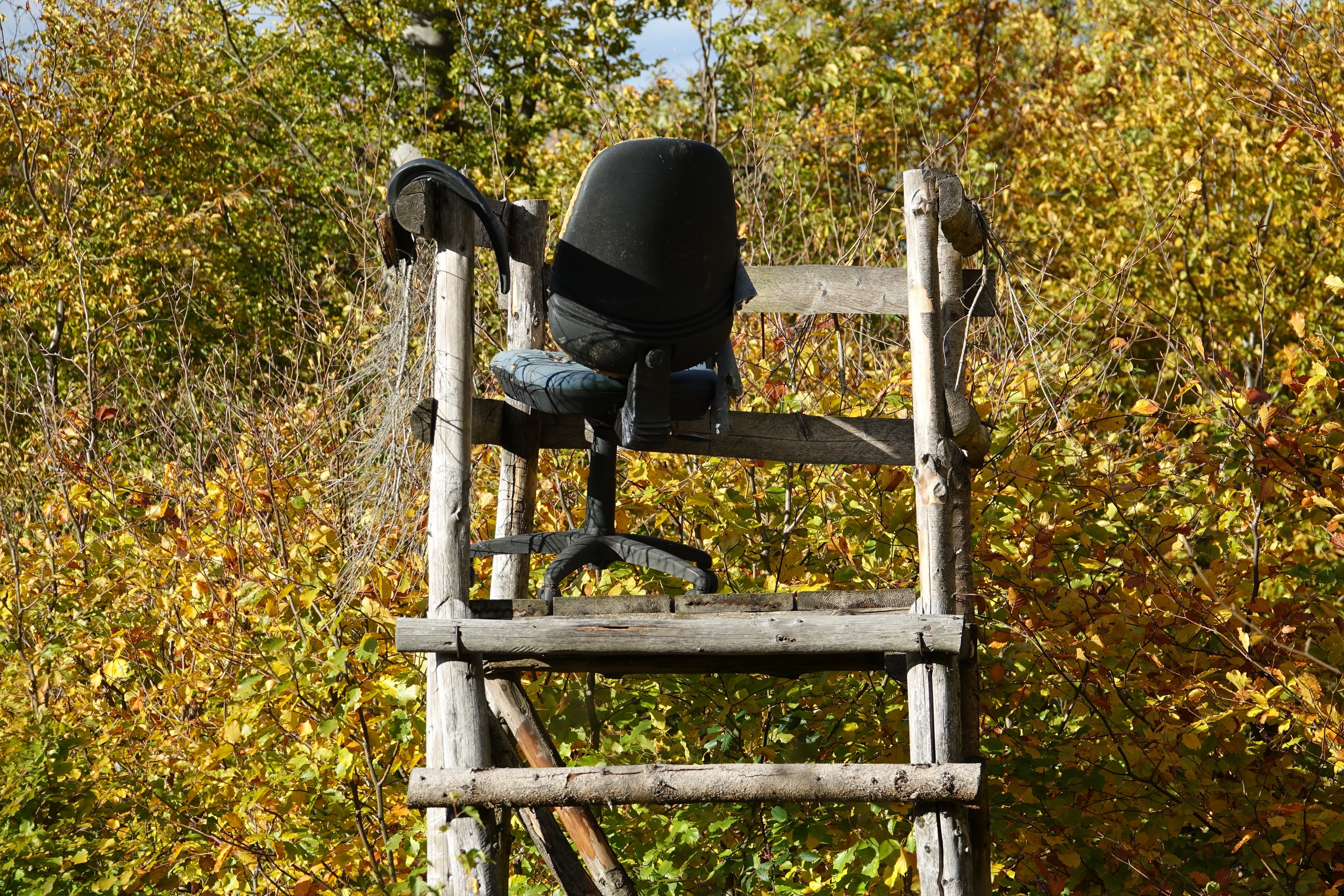 Situations-Komik am (Wald-) Rande: Auf einer Jagdkanzel ohne Bedachung thront ein bequemer Bürostuhl. Hat die Bürokratie jetzt auch die passionierten, Wind und Wetter trotzenden Jäger erreicht? Oder schwimmt der Jäger auf der Wellness-Welle? Und: Was macht der Waidmann, wenn der Winter kommt? Gesehen zwischen Miltenberg und Walldürn.