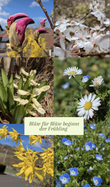 Foto: Christian Fahs