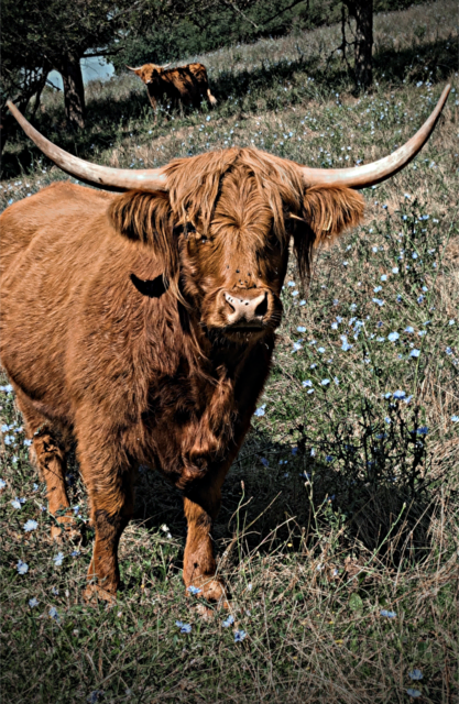 Foto: Christian Fahs 