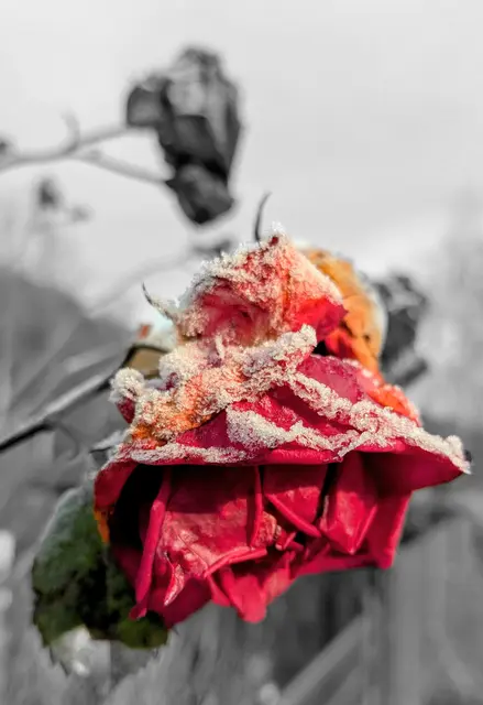 Foto: Christian Fahs 