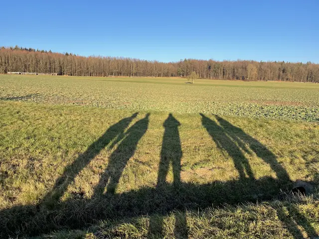 Begegnung am zweiten Weihnachtsfeiertag 