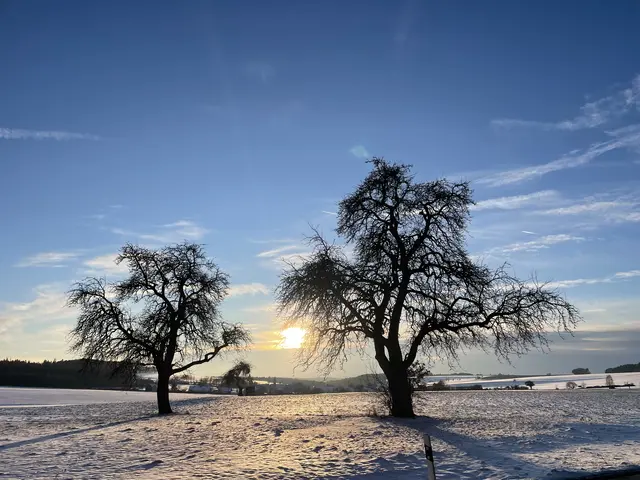 Im Odenwald bei minus 7 Grad Celsius 