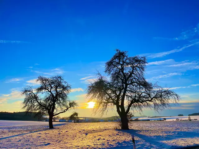 Unweit der beliebten Rodelpiste an der Steige und dem einstigen Limes
