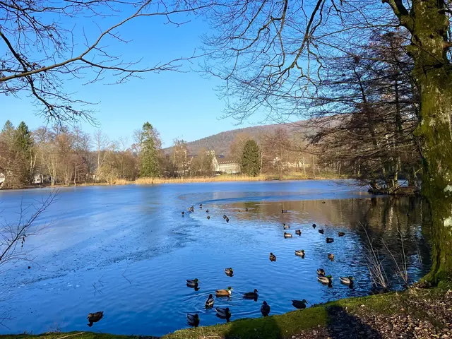 Immer einen Spaziergang wert!