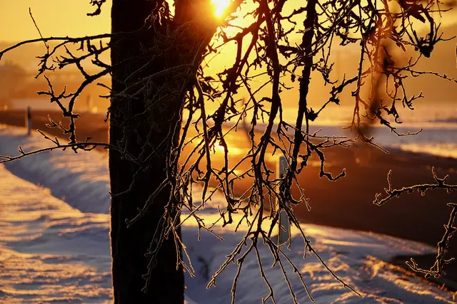 Winterlicher Sonnenaufgang