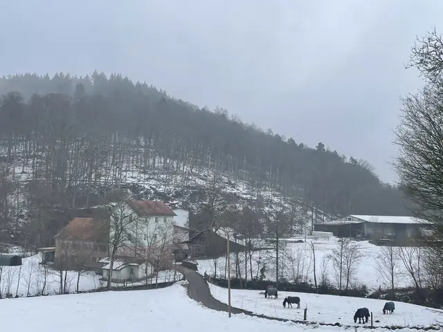 Winter im Odenwald
