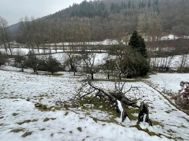 Fast schon Schneeschmelz