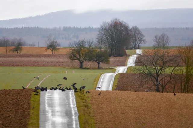 Im Odenwald zwischen Richelbach und Hundheim unweit vom Otterbachtal