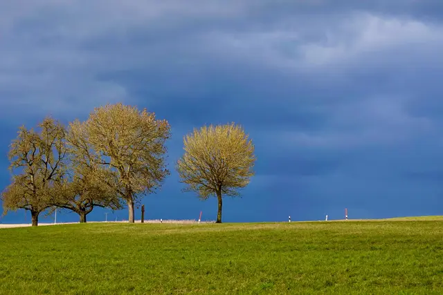 Sonniger Moment zwischen Richelbach und Neunkirchen im Odenwald