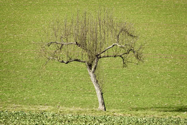 Gesehen im Odenwald