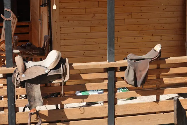 Groß und klein: Die Sättel tanken Sonnencreme, damit sie beim Aprilausritt glänzen – nur wer schneller trocknet, darf zuerst aufs Pferd!