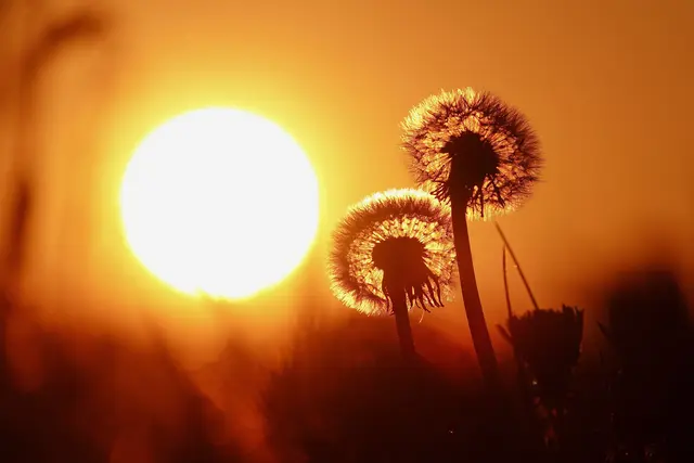 Zu zweit durch den startenden Frühlingstag.