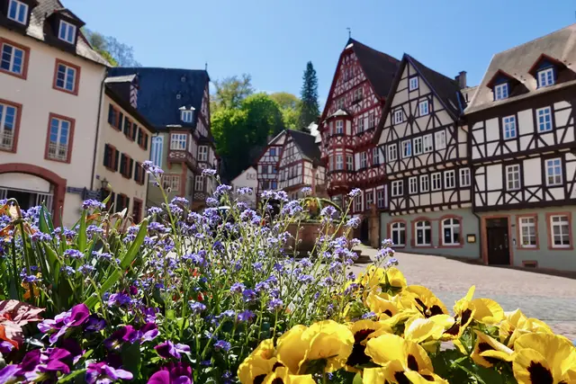 Zwischen Blütenzauber und Sonnenglanz flüstert der April sein Finale, während am Schnatterloch Vorfreude auf den Wonnemonat erwacht – der Miltenberger Marktplatz als Bühne für den Frühling in seiner schönsten Poesie.